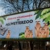 Allwetterzoo