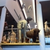 Naturalis