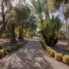 Groene parken