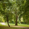 Parken in Londen