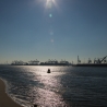 Haven van Rotterdam