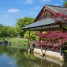 Japanse Tuin