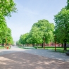 Parc Jean-Baptiste Lebas