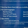 Bagage opslaan