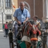 Paard en wagen