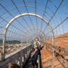 Campanile