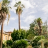 Orto Botanica