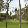 Golfbestemming Belek