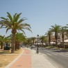Sofokli Venizelou