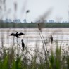 Nationaal park Hortobágy