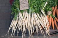 De overdekte markt van Hajdúszoboszló