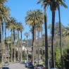 Beverly Hills