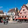 Dijon