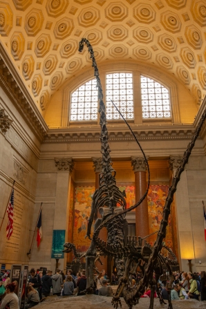 American Museum of Natural History
