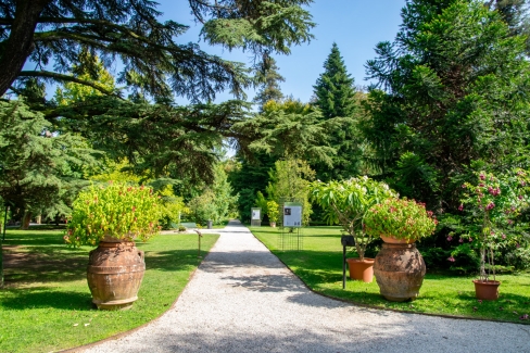 Orto Botanico di Lucca