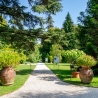 Orto Botanico di Lucca