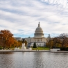 Washington D.C.