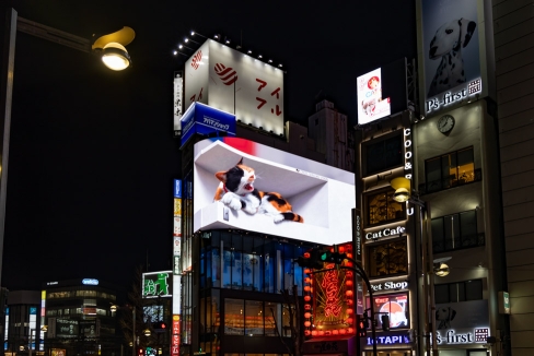 3D-kat in Shinjuku