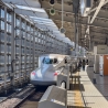 Met de Shinkansen naar Kyoto reizen