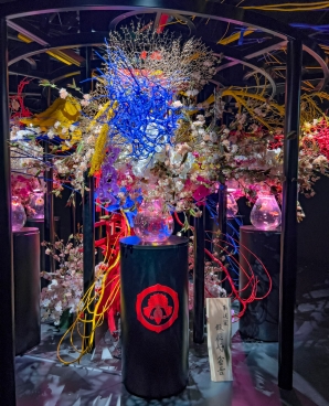 Art Aquarium Museum