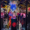 Art Aquarium Museum