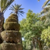 Parque Genoves