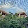 Hamad International Airport
