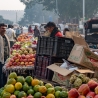 Delhi Belly